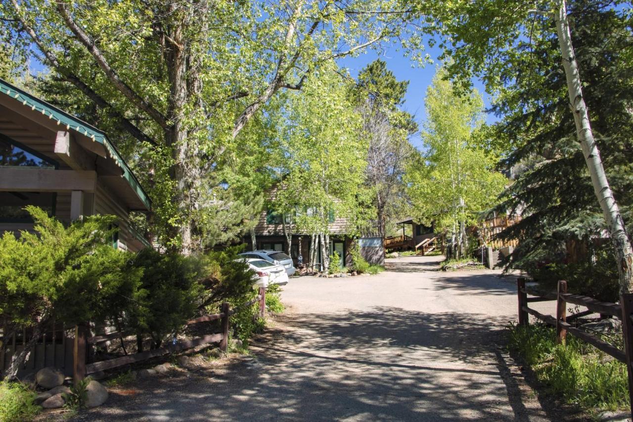 Sunnyside Knoll- 9 Cabin Estes Park Ngoại thất bức ảnh